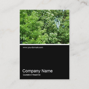 Cartão De Visita Meia &Foto 0160 - Verão Breeze