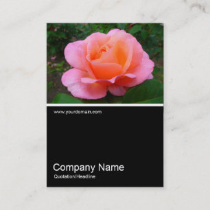 Cartão De Visita Meia &Foto 0173 - Rosa