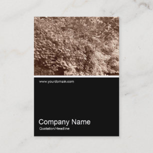 Cartão De Visita Meia &Foto 018 - Folhas