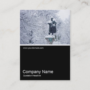 Cartão De Visita Meia &Foto 0193 - Neve no Parque