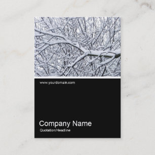 Cartão De Visita Meia Foto 0195 - Ramificações de Neve