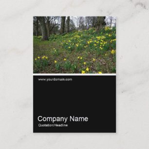 Cartão De Visita Meia &Foto 021 - Daffodils