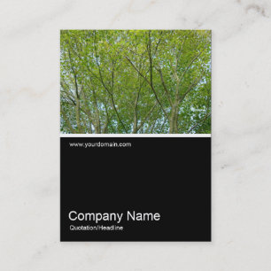 Cartão De Visita Meia &Foto 0239 - Mapeamento Japonês