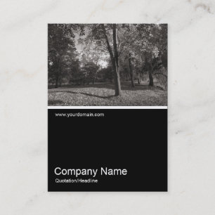 Cartão De Visita Meia foto 0267 - outono no parque