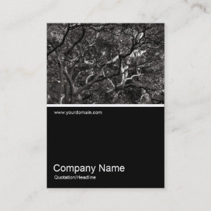 Cartão De Visita Meia &Foto 0286 - Japonês Branches 01