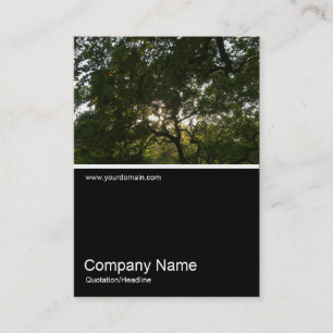 Cartão De Visita Meia &Foto 0287 - Japonês Branches 04