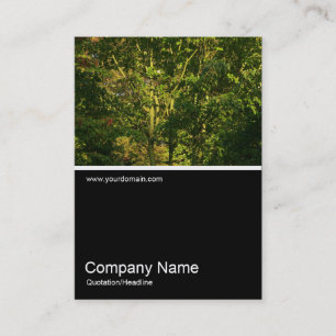 Cartão De Visita Meia &Foto 0288 - Japonês Branches 05