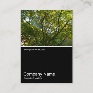 Cartão De Visita Meia &Foto 0289 - Japonês Branches 06