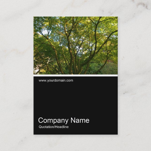 Cartão De Visita Meia &Foto 0289 - Japonês Branches 06 (Frente)