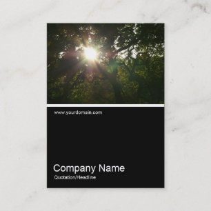 Cartão De Visita Meia &Foto 0290 - Japonês Branches 07