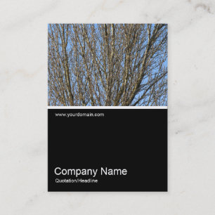 Cartão De Visita Meia &Foto 0297 - Sunlit Branches (Ramificações il