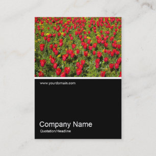 Cartão De Visita Meia &Foto 02 - Tulips