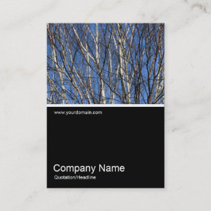 Cartão De Visita Meia &Foto 0302 - Ramificações de passarinho pra