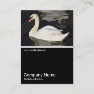 Cartão De Visita Meia &Foto 0307 - Mute Swan