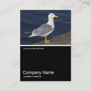 Cartão De Visita Meia &Foto 0308 - Gaivoa de pernas amarelas