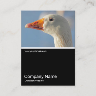 Cartão De Visita Meia &Foto 0309 - Ganso Branco Haughty