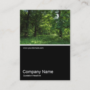 Cartão De Visita Meia foto 0322 - Primavera no bosque 01