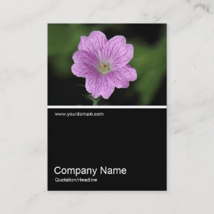 Cartão De Visita Meia Foto 0325 - Endressii Geranium