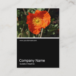 Cartão De Visita Meia Foto 0325 - Welsh Poppy (Laranja)