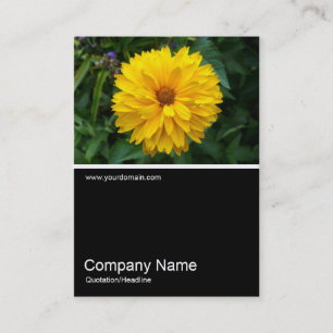 Cartão De Visita Meia Foto 057 - Chrysanthemum
