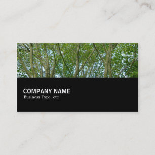 Cartão De Visita Meio caminho 080 - Mapeamento Japonês