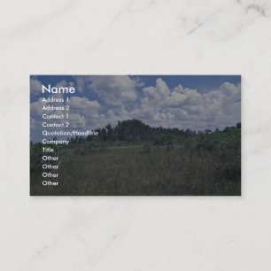 Cartão De Visita Melaleuca