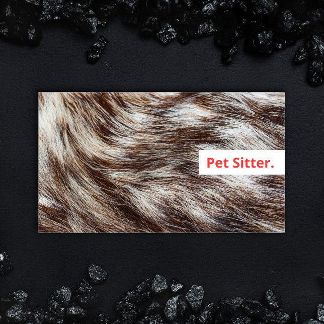 Cartão De Visita Ménimo Veterinário do Cachorro Pet Sitter Moderno (Bold design Dog Walking and Pet Sitting Business card with fluffy fur and colorful modern type.)