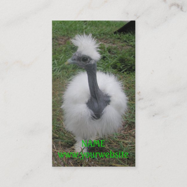 Cartão De Visita Menina de seda de Turken (Frente)