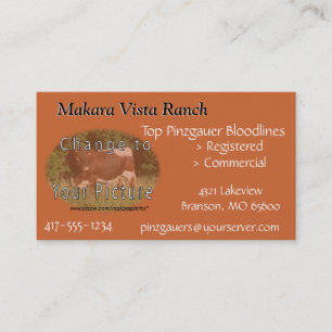 Cartão De Visita MikeCard 2 - personalize ambos os lados