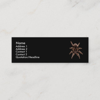 Cartão De Visita Mini Aranha do Tarantula