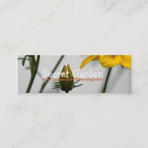 Cartão De Visita Mini Bidens Amarelos