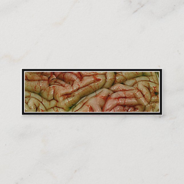 Cartão De Visita Mini Cérebros, CérebroZZ BRAINZZZ (Frente)