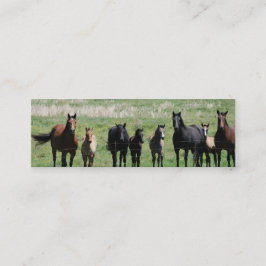 Cartão De Visita Mini Das "marcador éguas & dos potros"