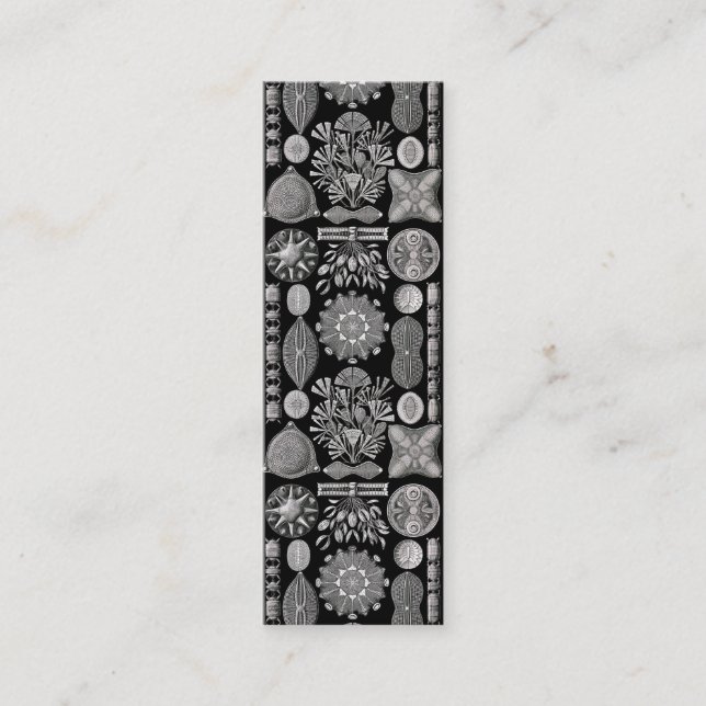 Cartão De Visita Mini Ernst Haeckel Diatomea (Frente)