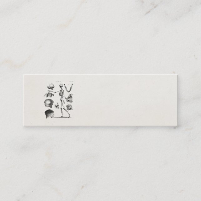 Cartão De Visita Mini Esqueletos antigos de esqueleto da anatomia dos (Frente)