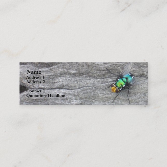 Cartão De Visita Mini eu vôo (Frente)