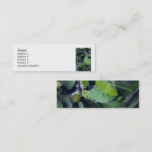 Cartão De Visita Mini Folhas esculturais