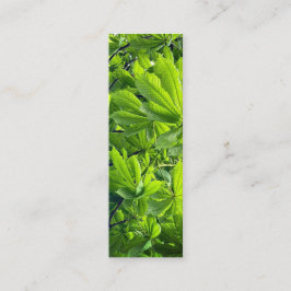 Cartão De Visita Mini Fotografia da Natureza Folhas Verdes Marcador Nova
