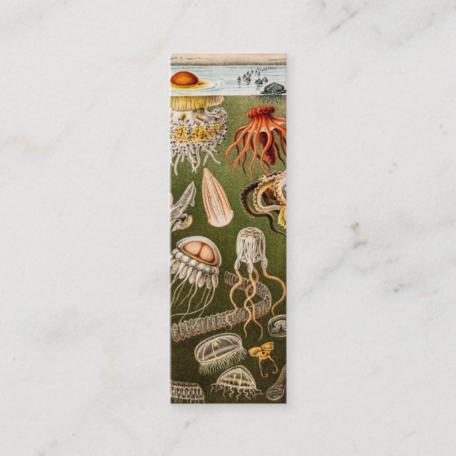 Cartão De Visita Mini Ilustração das medusas da antiguidade das medusa (Frente)