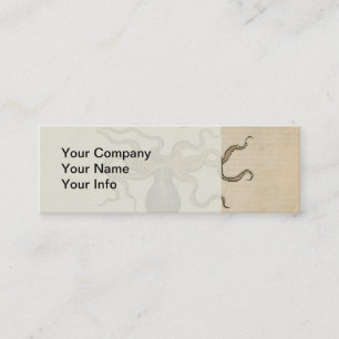 Cartão De Visita Mini Ilustração Octopus Kraken Vintage