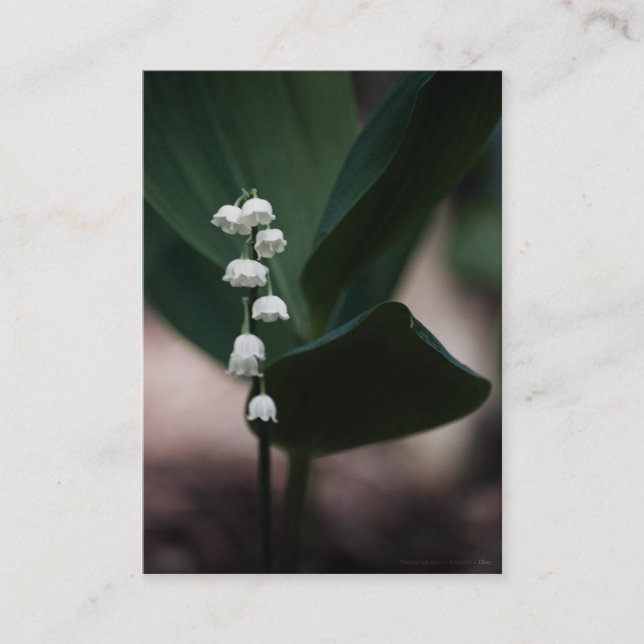 Cartão De Visita Mini Impressão (Frente)