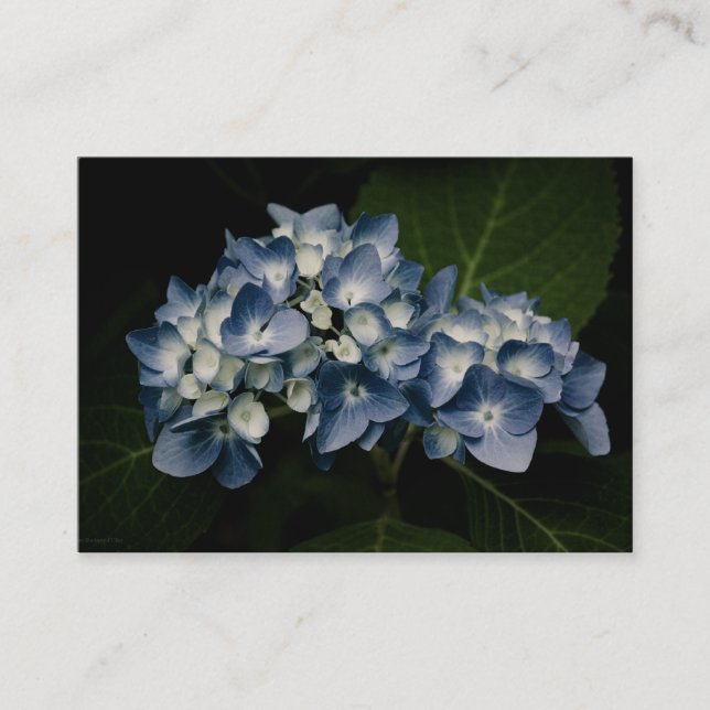 Cartão De Visita Mini Impressão Azul Hydrangea 8514 (Frente)