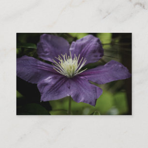 Cartão De Visita Mini Impressão Clematis 8510