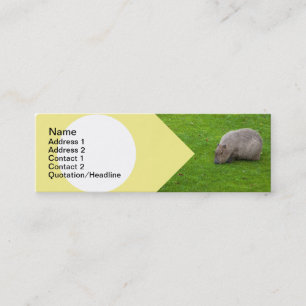 Cartão De Visita Mini Incrível Animal Capivara