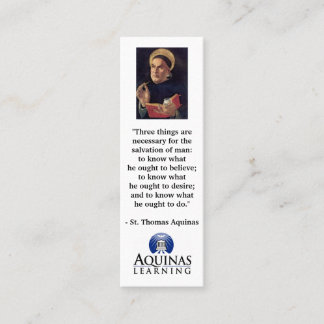 Cartão De Visita Mini Miniplacas da Lista de Livros de 2019 (3"X1") com