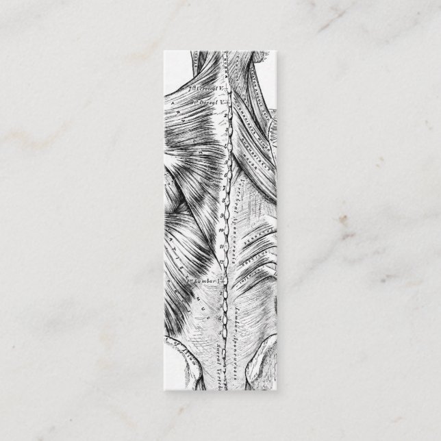 Cartão De Visita Mini Músculos traseiros da arte preto e branco da (Frente)