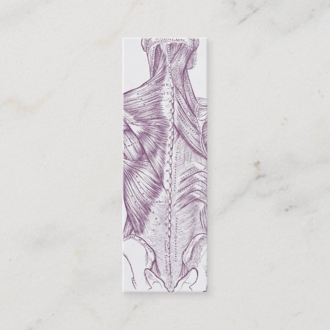 Cartão De Visita Mini Músculos velhos da arte da anatomia do roxo (Frente)