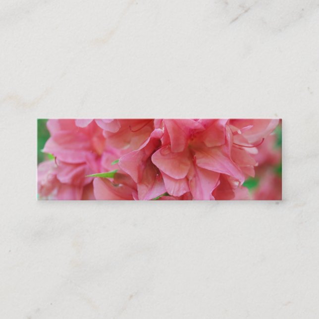 Cartão De Visita Mini NYBG: No. 116 (Frente)