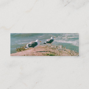 Cartão De Visita Mini Ônibus. Placa - Agitar no Cliff