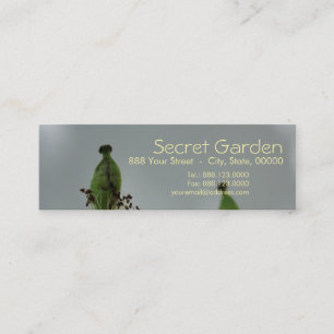 Cartão De Visita Mini Papas e sombra (5)